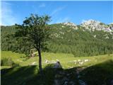 End of road on Pokljuka - Viševnik